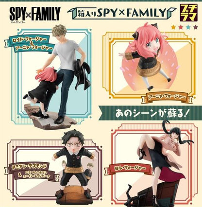 py x Family Petitrama Series Boxed(random)